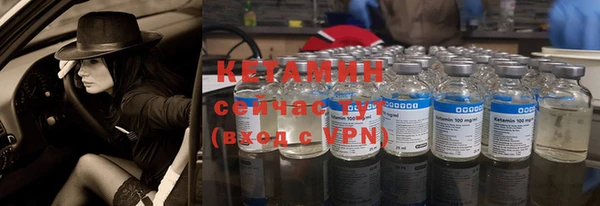 шишки Карпинск