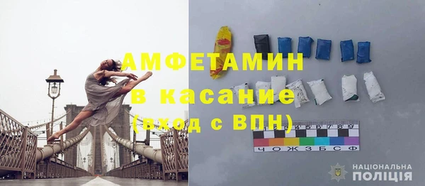 шишки Карпинск