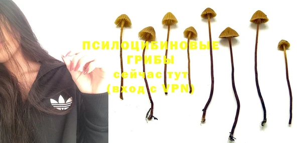 круглые Касимов