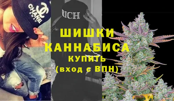 шишки Карпинск