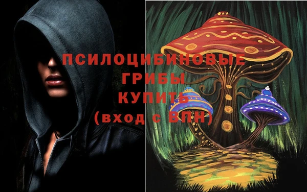 шишки Карталы