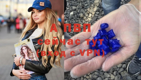 шишки Карпинск