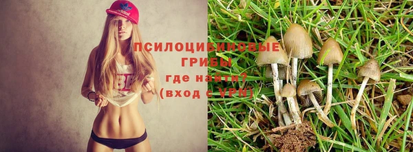 круглые Касимов