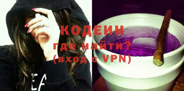 шишки Карпинск