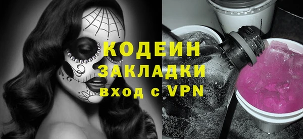 шишки Карпинск