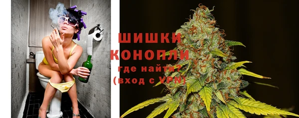шишки Карпинск