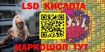 молекула духа Берёзовский
