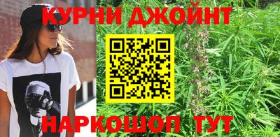 стаф Бийск