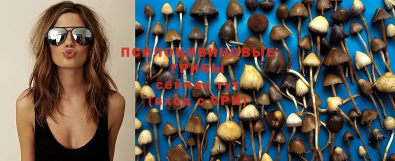 Псилоцибиновые грибы Magic Shrooms  Железногорск 